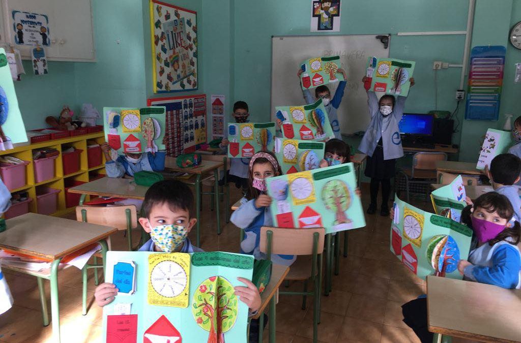 Lapbook en 1º de Primaria